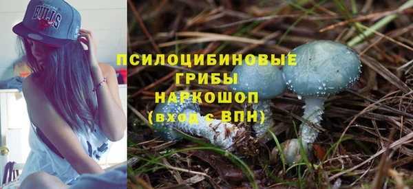 прущий лед Белокуриха